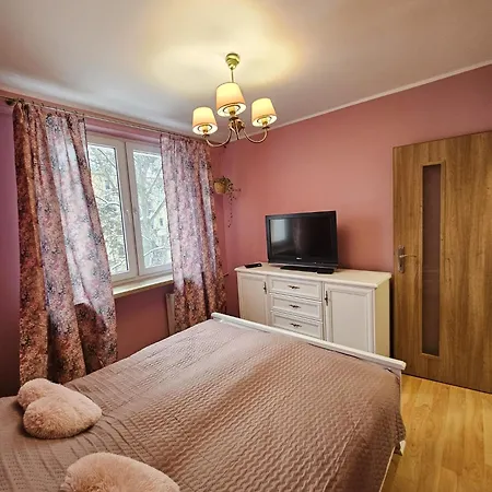 Apartment 3 Kolo Parku Przy Zwirki *