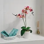 Appartement 3 Kolo Parku Przy Zwirki