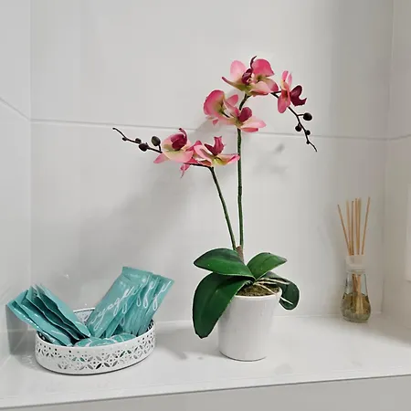 Apartmán 3 Kolo Parku Przy Zwirki